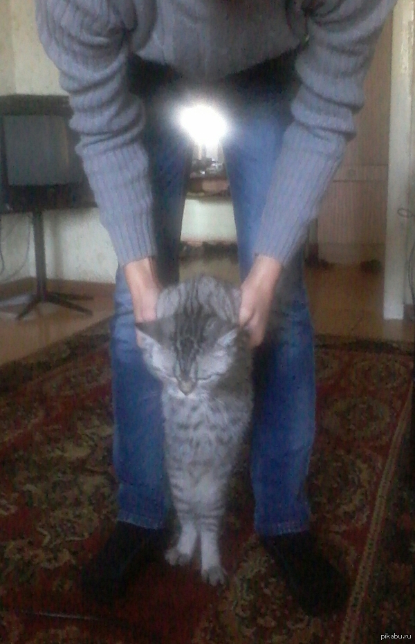 ����������