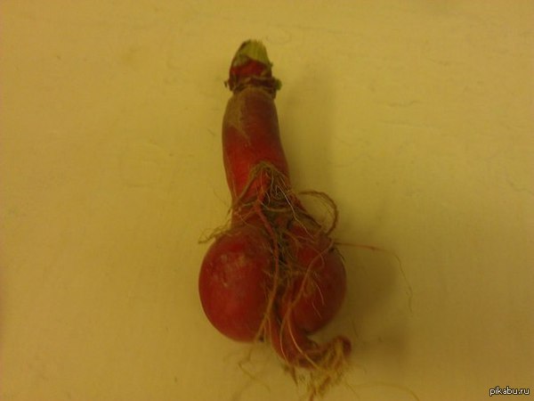 Here is such a friend, a radish, I grew up in my country house. - NSFW, Vegetable, Humor, Intimacy