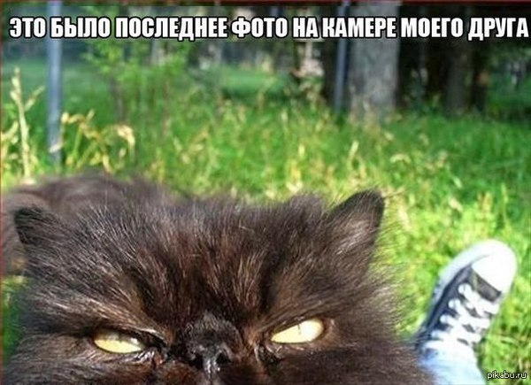 ������� ��� ����� ����