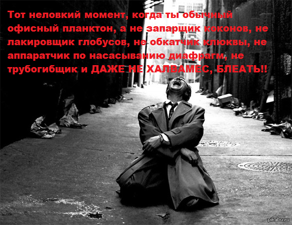 ��� ������ - ������� ��������