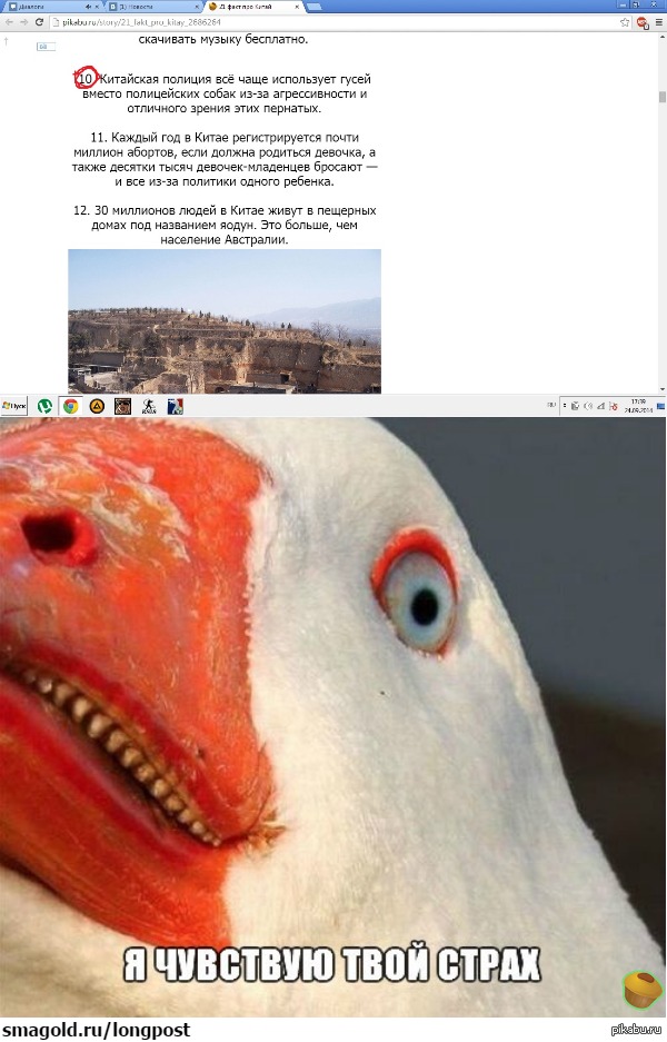 �-9 ������� ������.