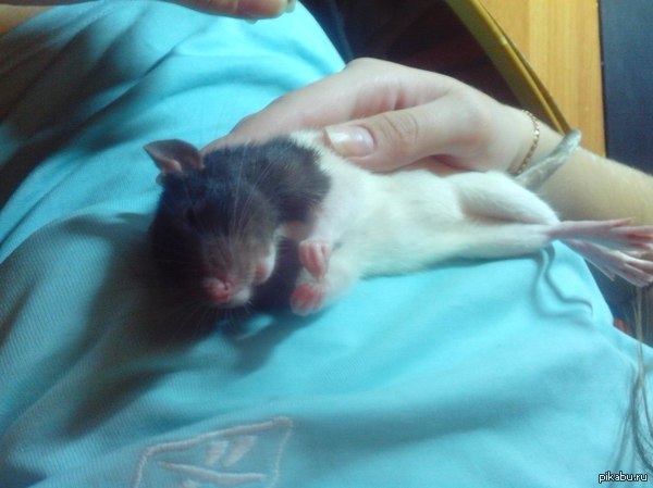 � �� ��� ��� �������� ^_^