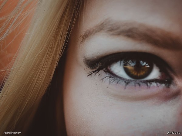 �������.  �� ���� ����� ���� �� ����� ������������� ���� ��������.