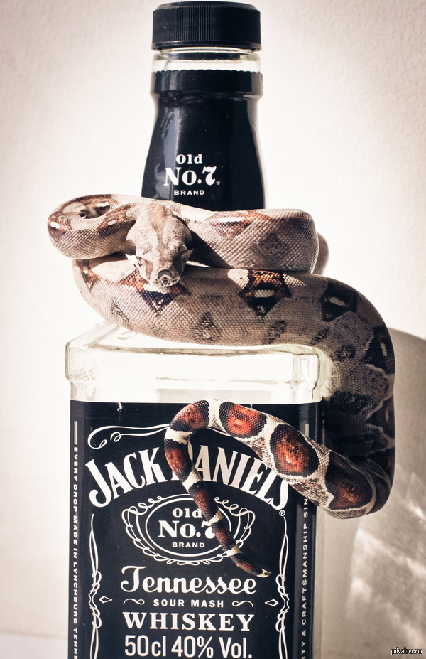 ����������� ���� �������������� ����� � ��������� �����