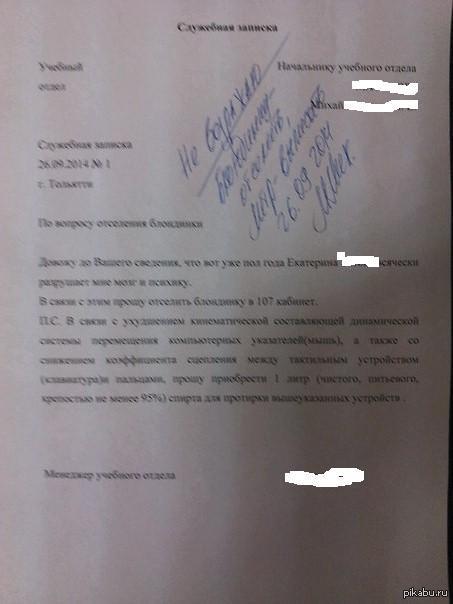 Начальник одобряет | Пикабу