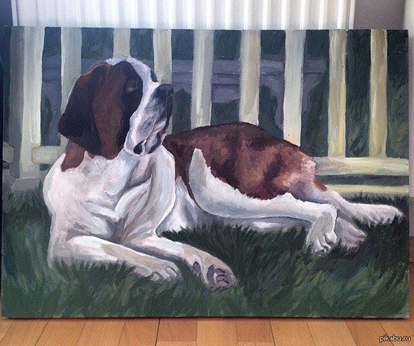 Tempera drawing. - My, Dog, St. Bernard, Tempera, Drawing, My, Creation