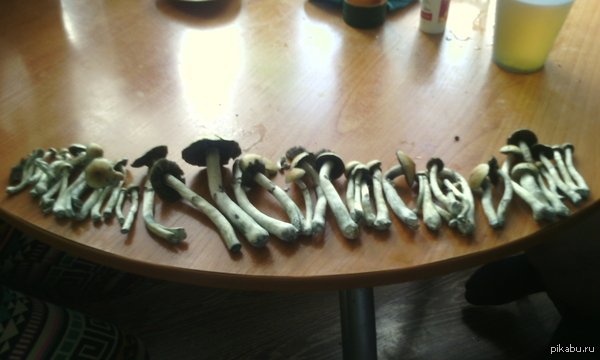 � ��� ����� ��������� ���������� ��� ������� ����=)