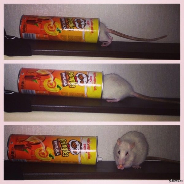 Зашел к себе в комнату. Теперь я понимаю, куда диется принглс))