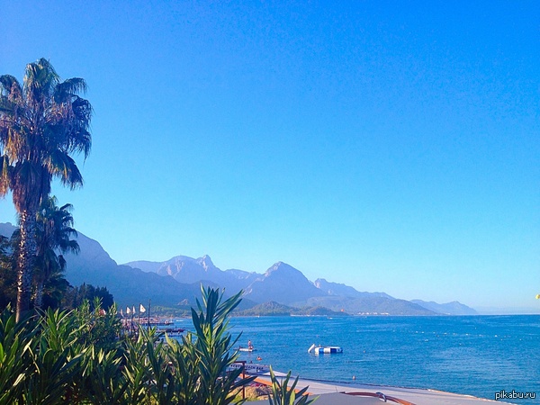 Пока все работают..я отдыхаю