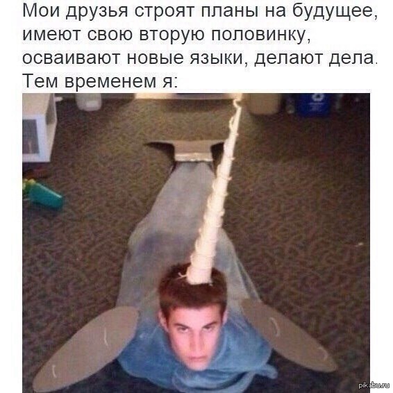 улыбнуло | Пикабу