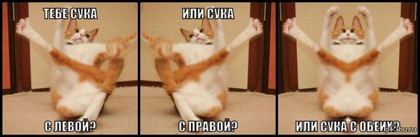 ������ ����-��.