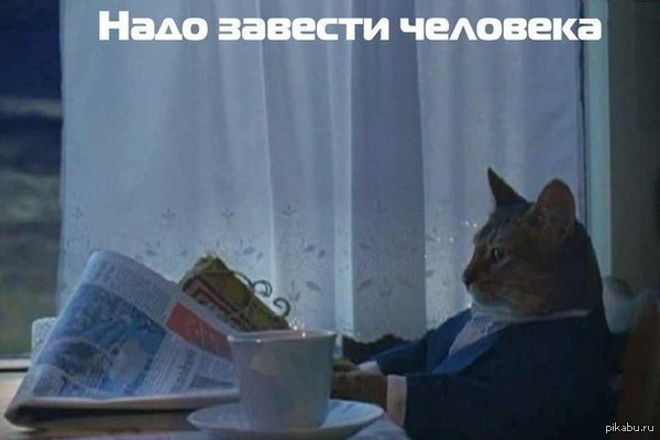 ���� ������� ��������
