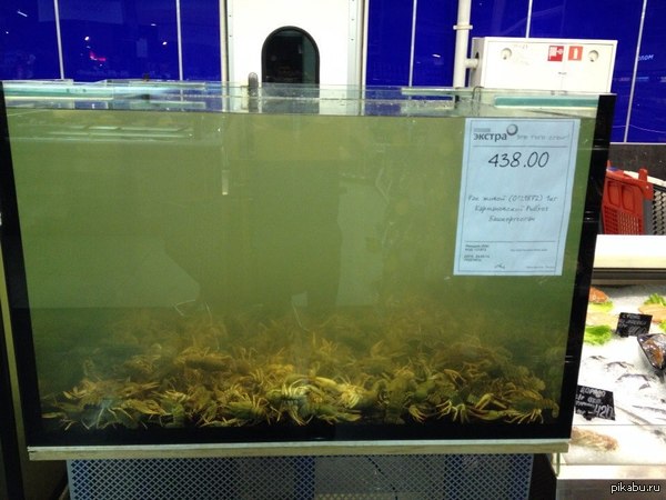 ����� ��� ������ �� ���