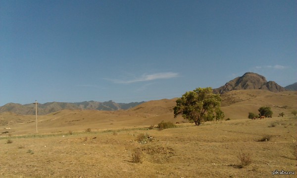 ���������� ������, ���������