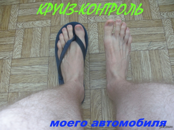 �����-��������