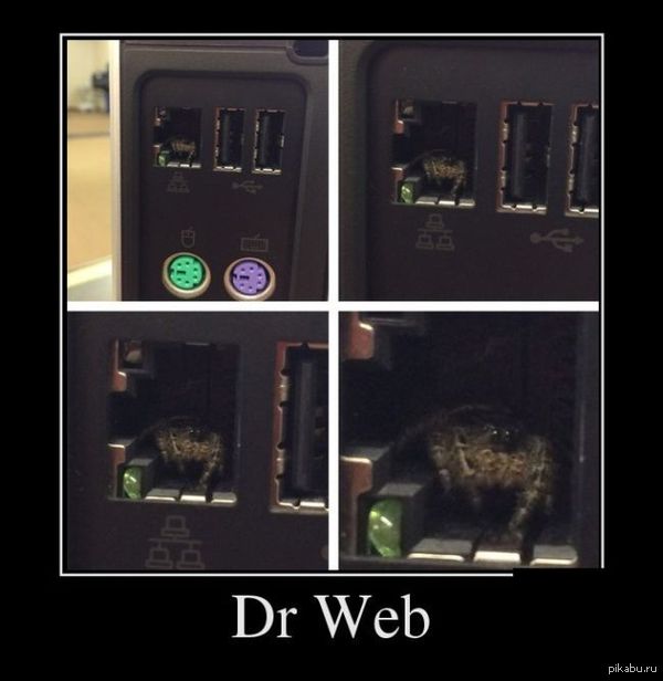 Dr web 