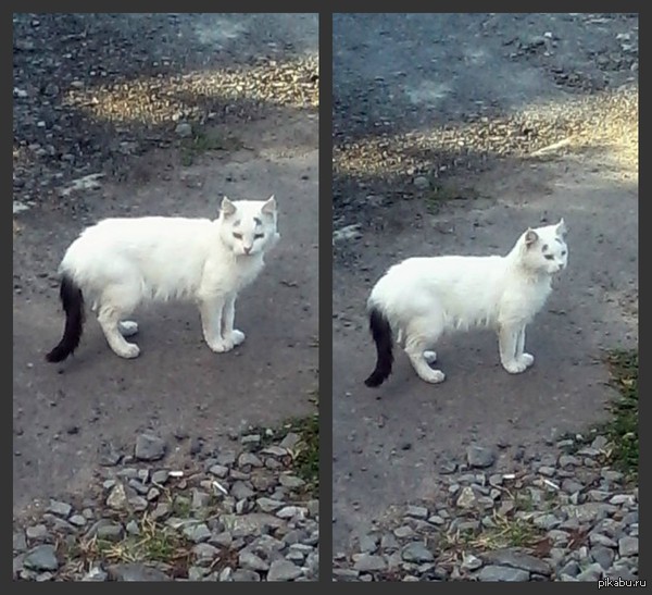 ��� �����