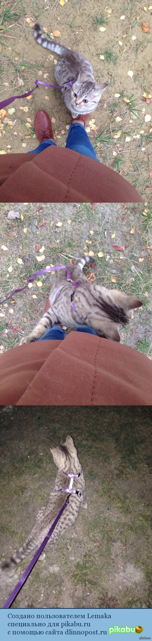 �������� � �����...