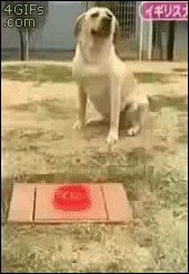  :D 