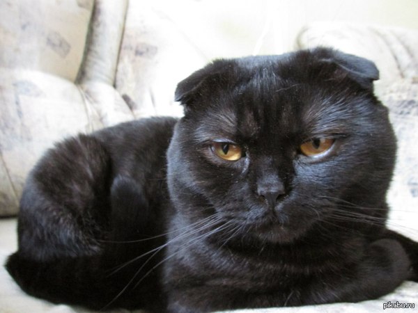 ������ ��������� :)