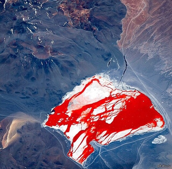 � ����� ������ ������ � �������!)