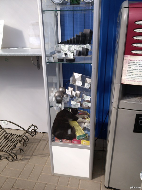 ������ ���)