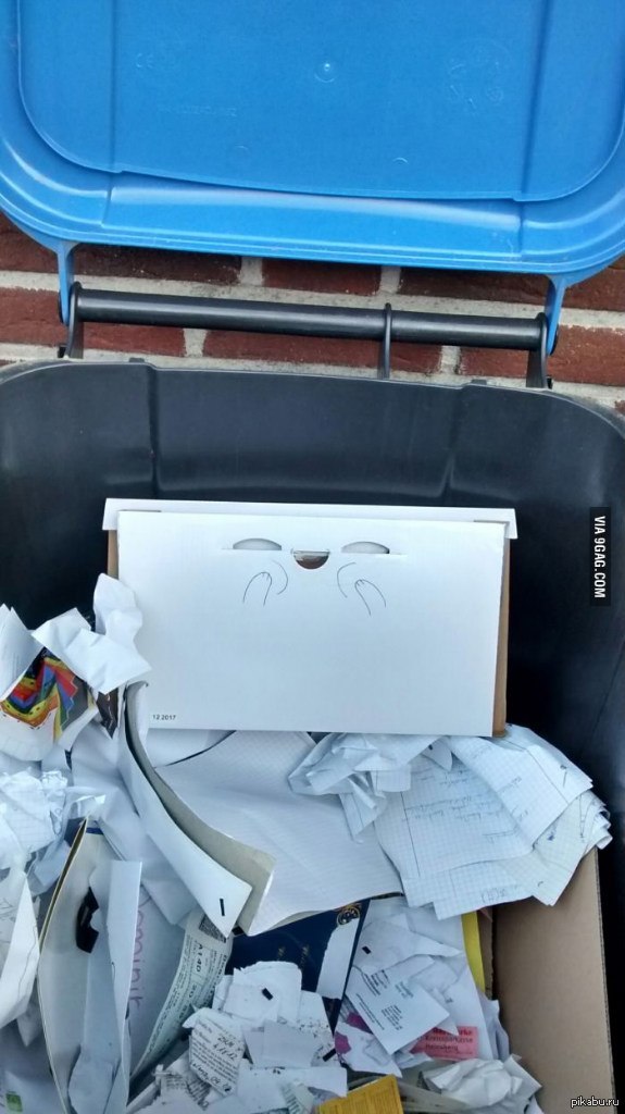 "Коробочка была безумно рада меня видеть"