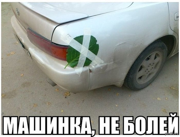 Биби БОБО))))
