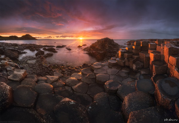 ������ ��������, ��������.