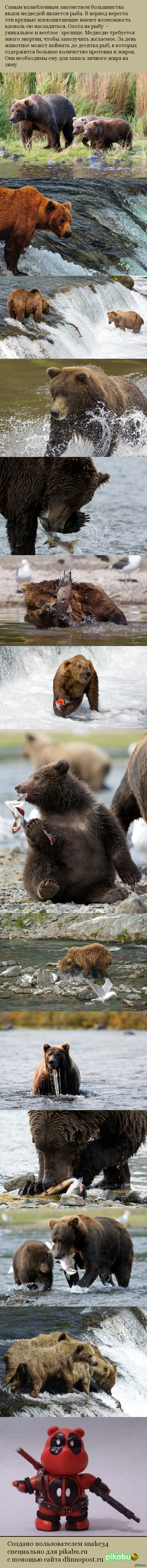 ������� ������� �� ��������