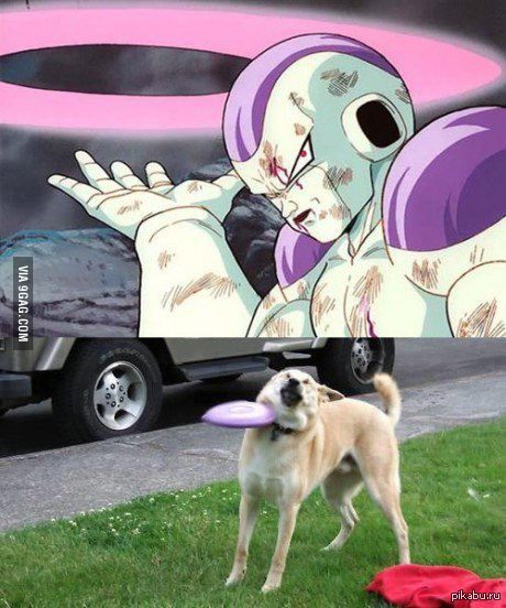 Frieza kill!