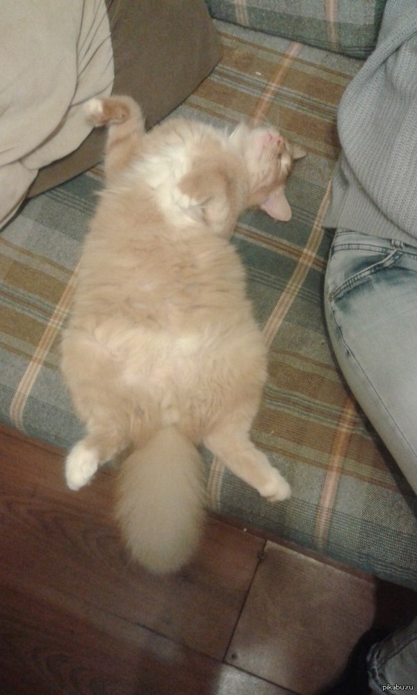 ��������� ���! ��� �������� �������:)