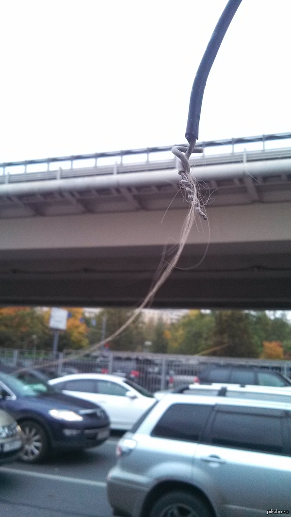 Как много боли в этом фото...