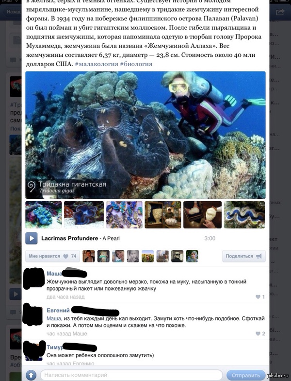 Все им круглый жемчуг подавай
