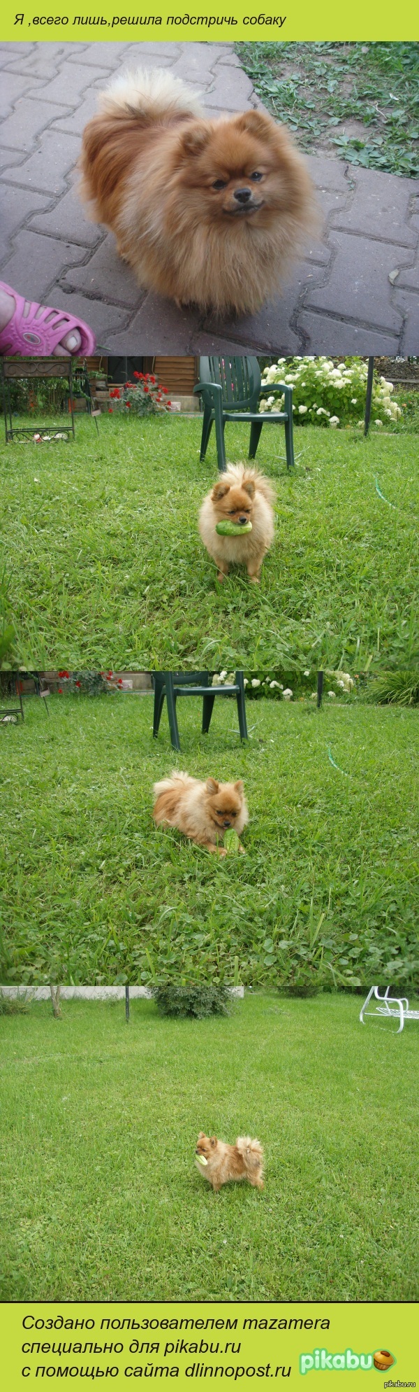 ��� ������ - �����