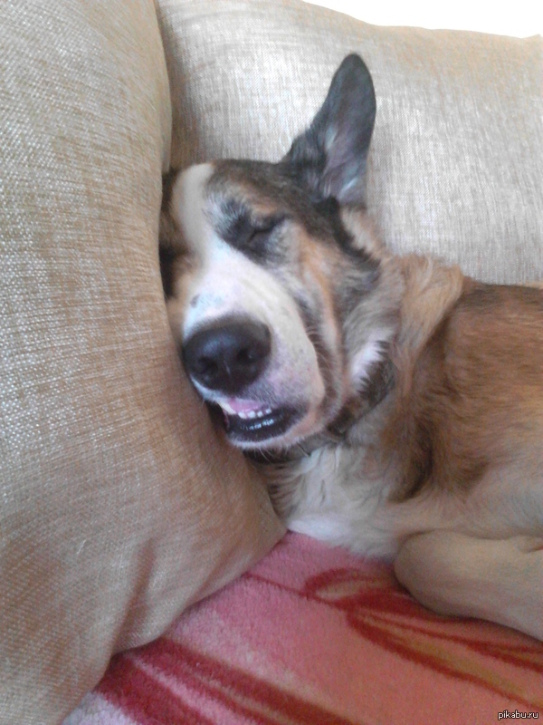 �������� �������� �������