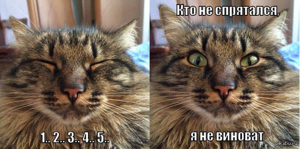 ������ � ������