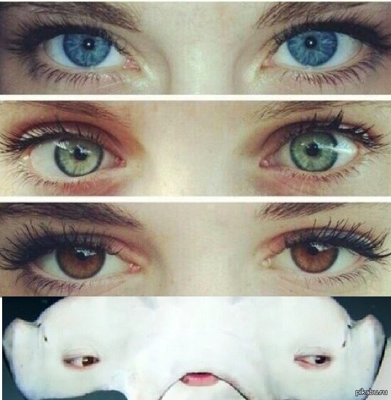 ��� ���? �� ���� ��� �������?