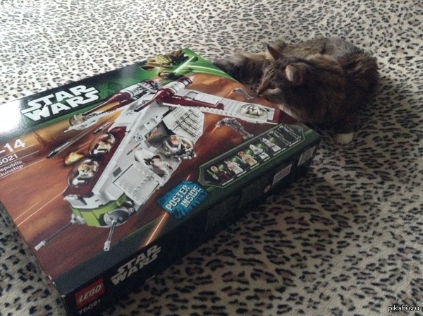 ������� ����� �� 25-�� �����