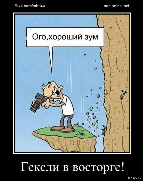 Отличный ЗУМ ) | Пикабу