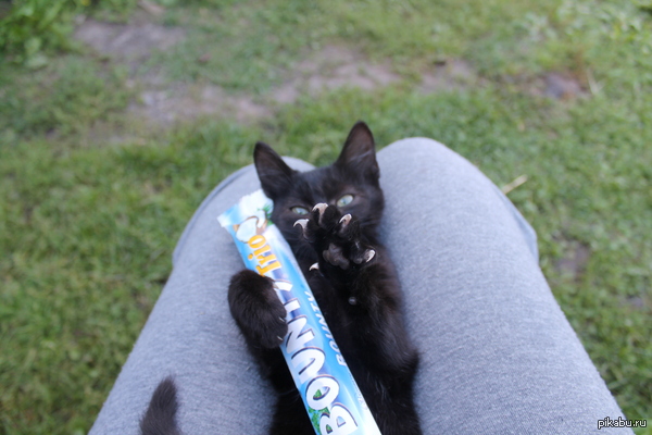 ��� ����������!!!