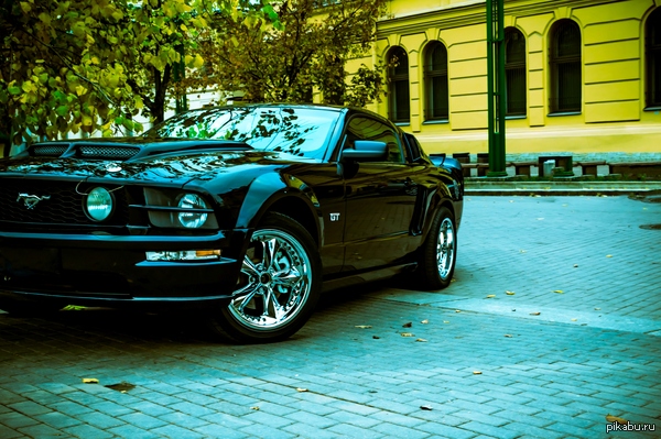 Ford Mustang GT  n))   