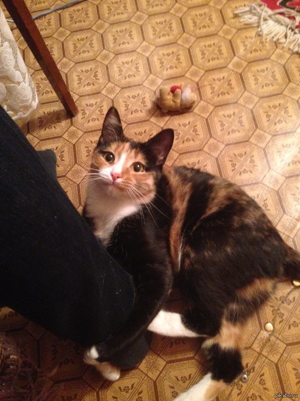     :3            )