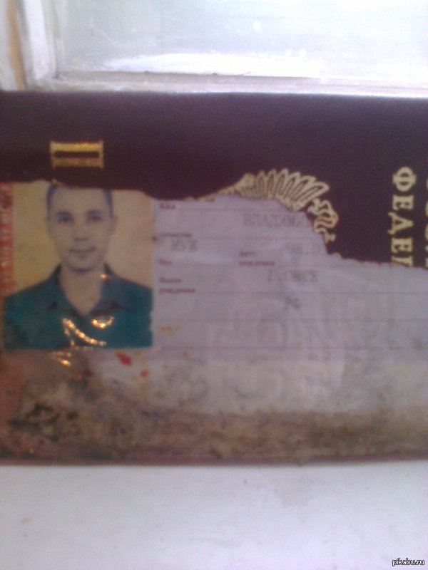 Нашел паспорт типа из "Теории большого взрыва"