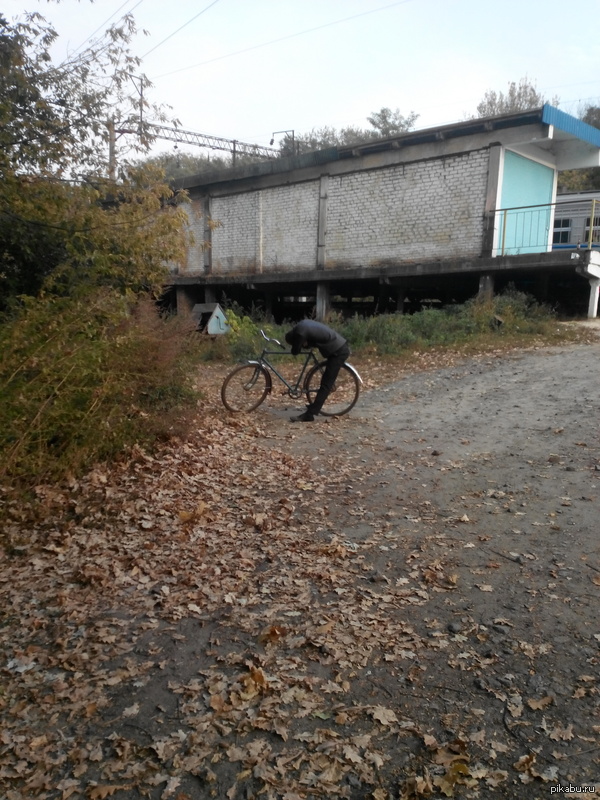 ������ ������