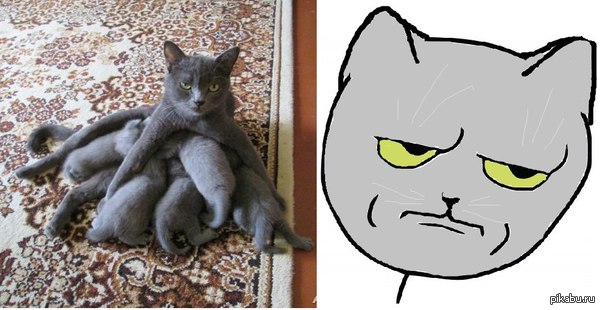 "���������� ����"