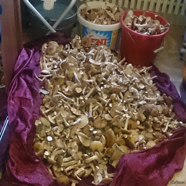 ������ ��� ������� ��� ��� ����� �� ����:)