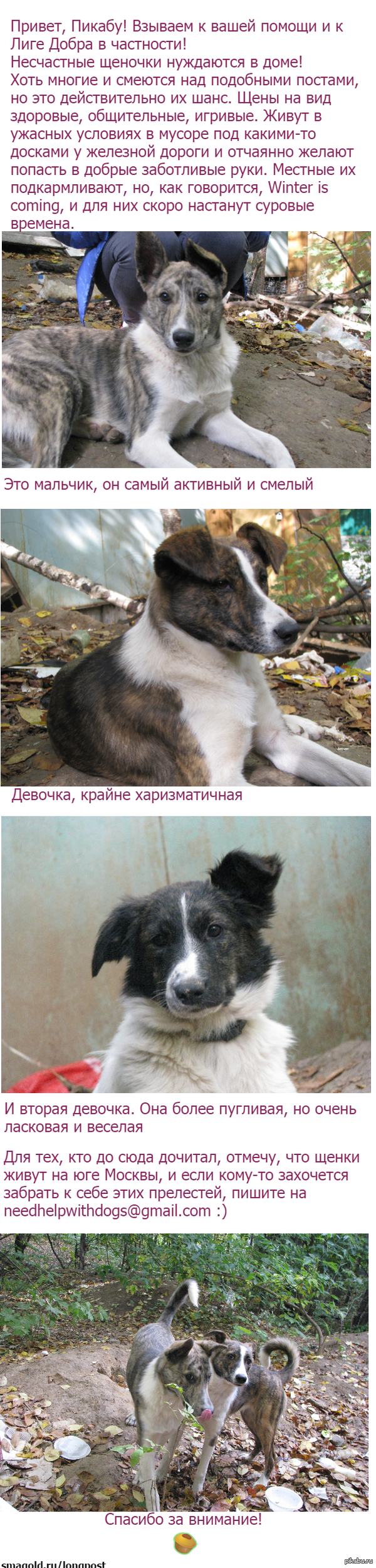 ���� �����, �� ������!