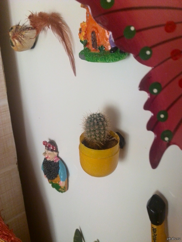 ����� ������ �� �����������.