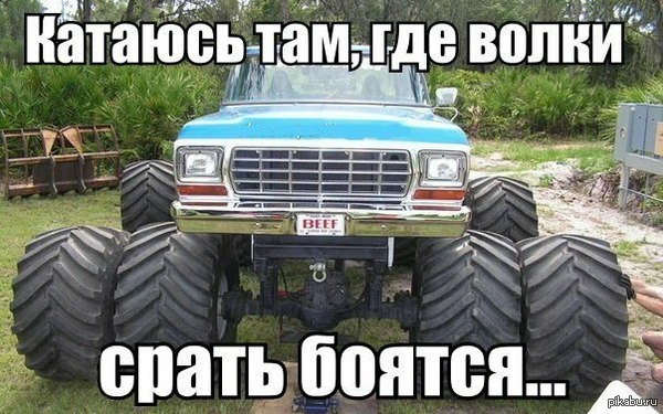 Зверь на колесах.